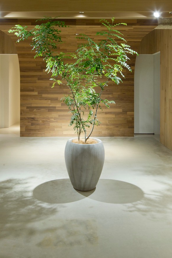 re true パウダールーム